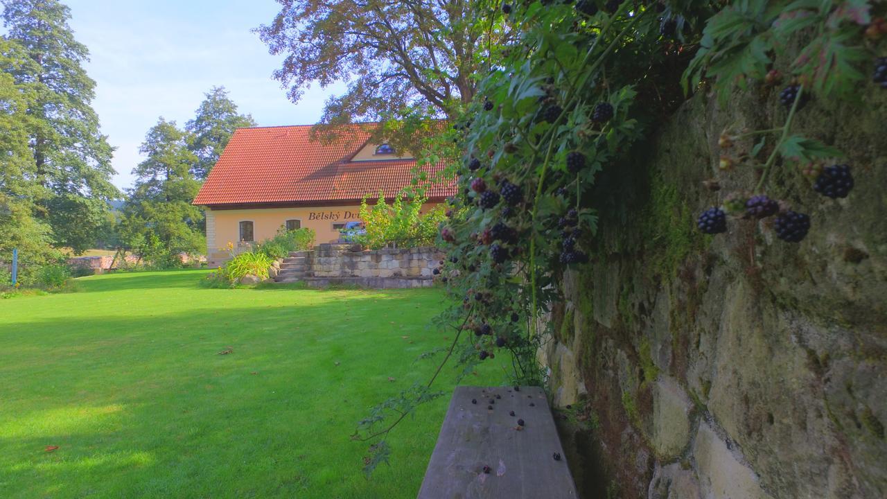 Belsky Dvur Hotel Bely Buitenkant foto
